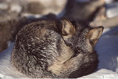 回合制银河恶魔城游戏《Worldless》公布 现已上架Steam